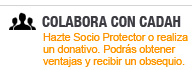 Colabora con CADAH, donativos y tienda online sobre TDA - TDAH o Déficit de Atención con/sin Hiperactividad