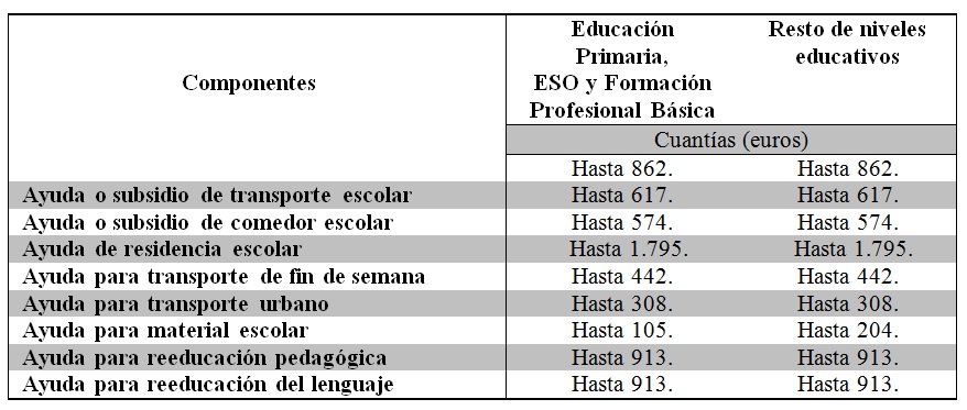 AYUDAS MEC NEE